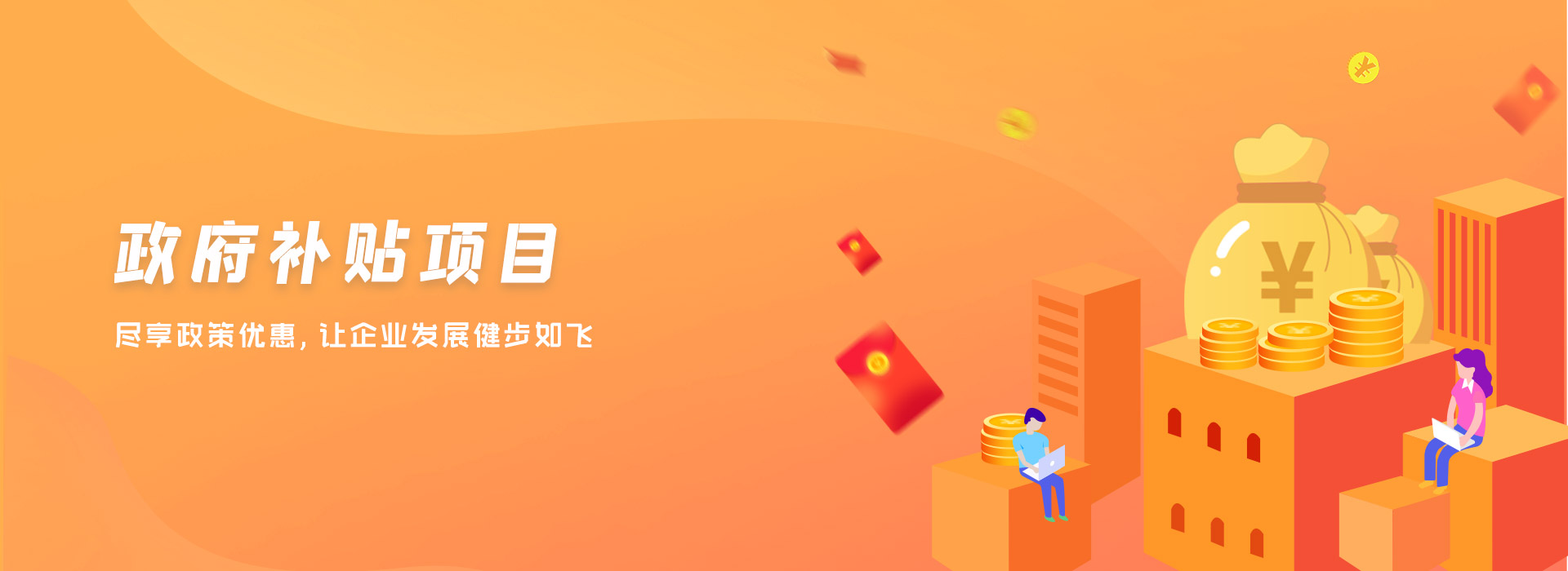 政府补贴项目